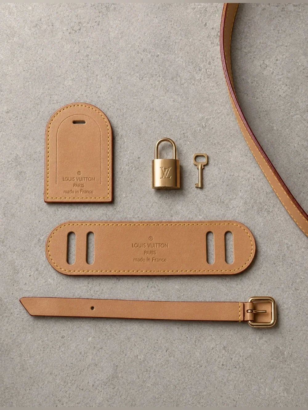 Louis Vuitton iconic louis